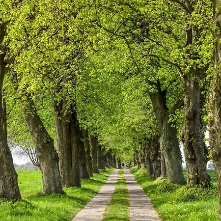 Poolhaus 1 In Gross Mohrdorf